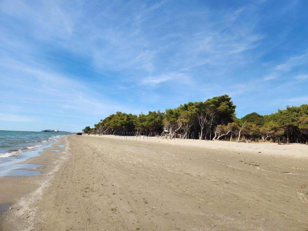 Vila Topi Vlorë 외부 사진